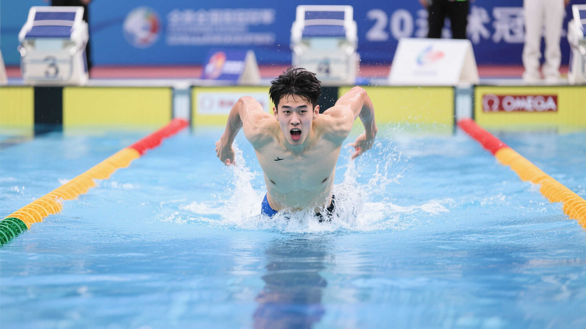 度成为世界 度成为世界